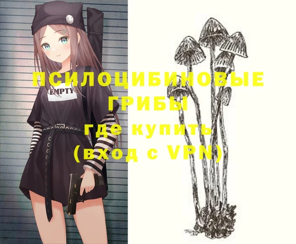гашик Балабаново