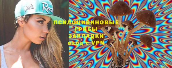 гашик Балабаново